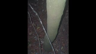 Solo pee compilation - may 2025