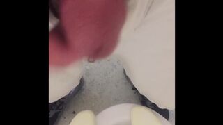 Attempting to Jerk in Park Bathroom but Kept Getting Interrupted