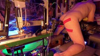 Day eleven anal stretching with Draco