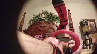 Part 2/4: Pup Zeus plays with his tail