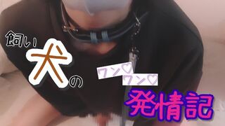 "Woof Woof " estrus of a pet dog wearing a sweatshirt