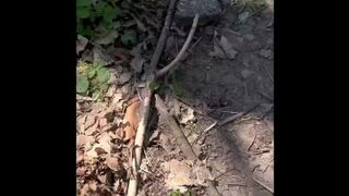 Public Cruising in Florida Full Video - Dane Coxx