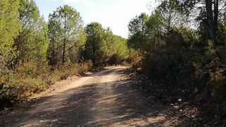 Cum in the middle of nature Episode 3