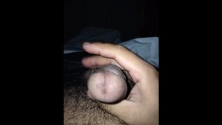 Asian Creamy Sausage