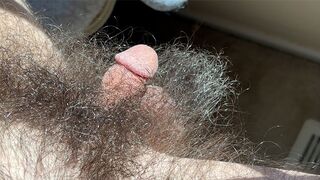 Pubicus Maximus - small dick in big hair - 6 month no trim update