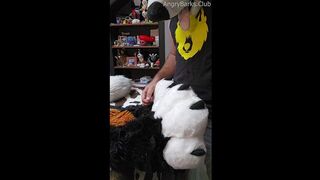 Furry Step-Bro teases edges and pushed Voz over the edge