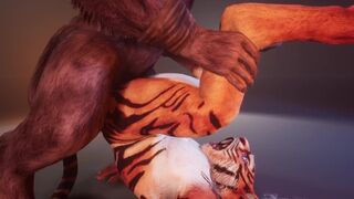 [Fart Fetish] Minotaur Cums Inside Tiger Boy After First Sitting on His Face | Wild Life Furry