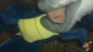 Small dino playb with me