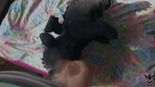 Toothless Dragon Fun 22