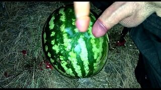 I found a WATERMELON in the forest and fucked it with two members / Male orgasm / Russian dirty talk / Dildo