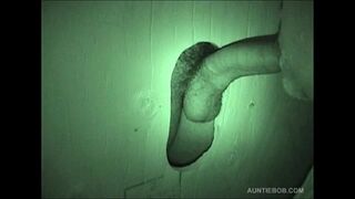 Auntie Bob's Public Rest Room Hidden Cam