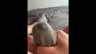 Wanking into my dirty sweaty sock