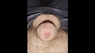 Hands-Free Cock Control - Chubby Bear Moves His 4 Inch Dick & Fills His Uncut Foreskin with Precum
