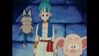 Dragon ball 11