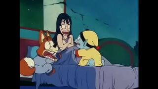 Dragon ball 13