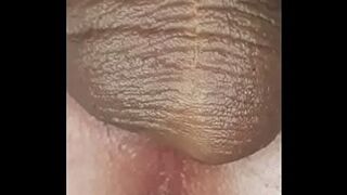Waxed and Oiled ORGASM - Closeup Contractions Rhythmically Pulsating Involuntarily For All to Watch Forever