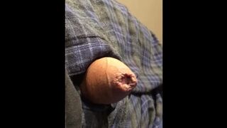 uncut cock ,Masturbate Daddy