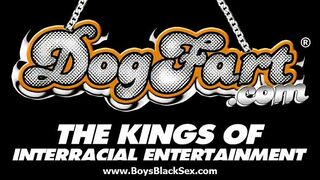 blacksonboys gay blacks fuck hard white sexy twinks 18