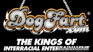Blacks on boys - Gay Interracial Nasty Fuck Video 13
