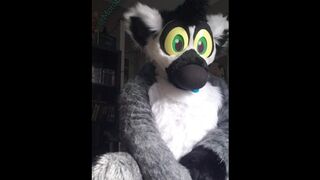 Moto pawing between games