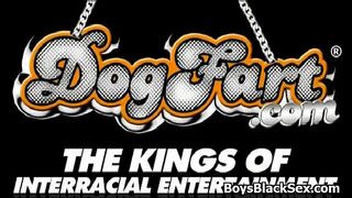 Blacks On Boys - Gay Interracial Hardcore Bareback Fuck 22