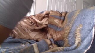 Before Work Stroke 2!