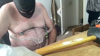 CBTluvr's 8 jan CBT show with alligator clips upside down balls bondage, pinned balls, assfuck and cumshot ending
