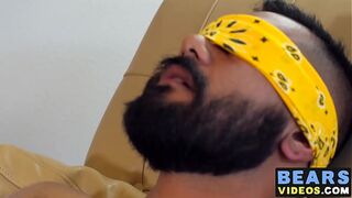 Hairy bear strokes his cock thinking about being fucked