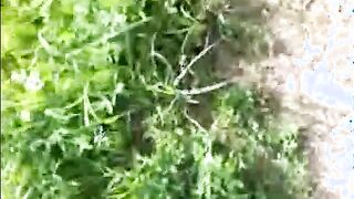 Christofer DÃ¶ss 004