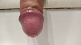 I Make my Dick Very Hard Before Making One of my Piss in the Sink