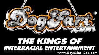 Blacks On Boys - Black Dudes Gay Fucking 12