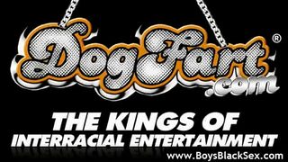 Blacks On Boys - Black Dudes Gay Fucking 21