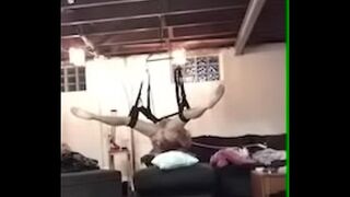 SEX SWINGS, 30 INCH DILDOS & ASS GAPING