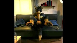 H0RS3 Compilation - (Gay Yiff Comp) - Compiled by AznChubLuvr