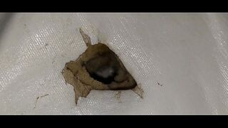I fuck with the mattress and lick my sperm from the hole in the mattress