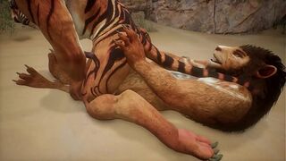Tiger and Lion find a near by cave and make love - Wildlife