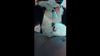 Furry Puppy Voz makes a mess out of SJ