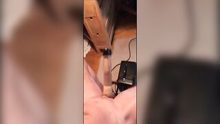 Venus 2000 - me milk my studs thick cock