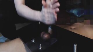 Royal Bareback Auditions