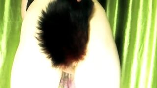 [EroNekoKun] - Foxboy playing with self Tail and Anal Beads (Alternate View)