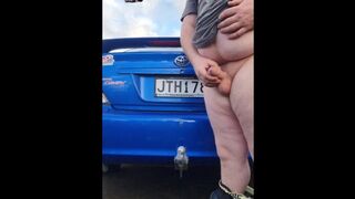 White kiwi bear fucks car tow ball, hand brake, gear shifter and oil dipstick. long version