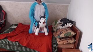 Hauge dog Fun#8