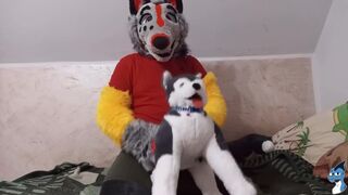 Dog and Freddy Wolf Fun#1