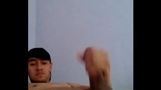 Paja Latin Vergon