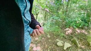 Guided Rainforest Hike With Mr.Grandecito