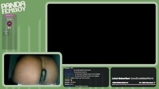 PandaFemboy Plays Mario & Luigi: Brothership Part 27