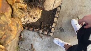 smoke sesh • back home