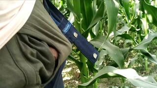 Hairy gay porn videos handjob and cumshot on plants