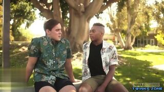Big Dick Twinks Interracial With Facial Cum