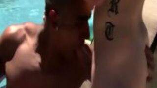 Twinks Suck Black Dick
